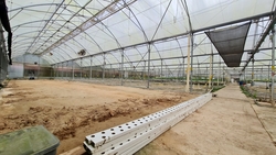 D' Kranji Farm Resort (D24), Land #517423921